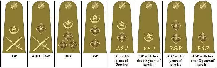 Punjab Police Shoulder Badge Senior Ranks